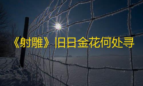 安全高防云万唯电子版